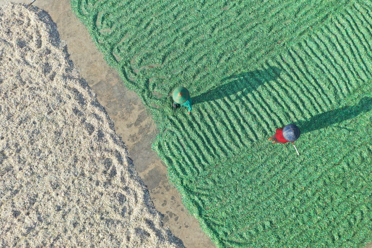 Governance — Honest Ocean field photo